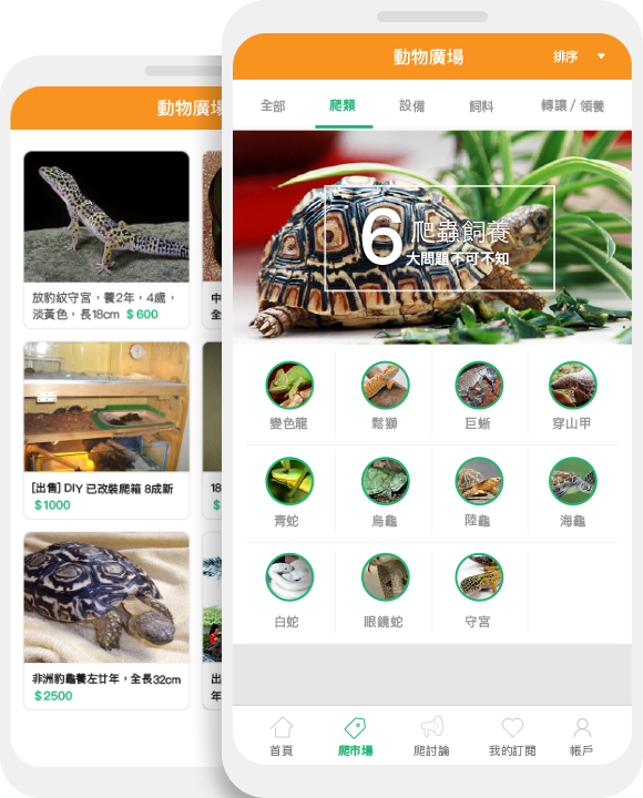 <div class="section-icon"><img src="http://dealpa.emcoo.com/wp-content/uploads/2018/04/動物廣場icon-1.png"></div>動物廣場